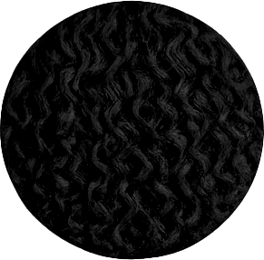 Curly Hair Noir