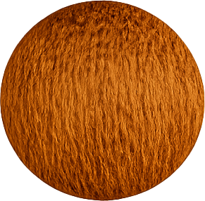 Kinky Adjo Gingembre